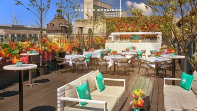 aqua nueva rooftop