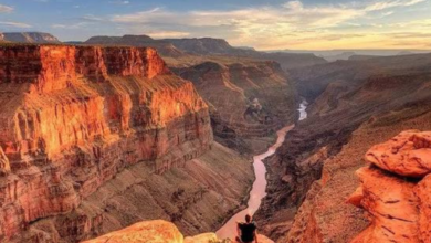 grand canyon west rim