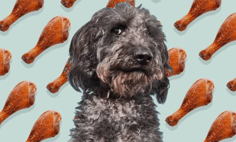 can dogs eat turkey